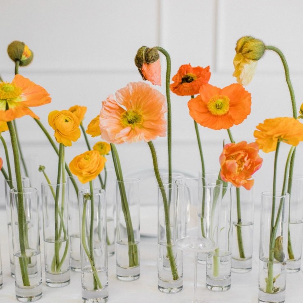 Meet your Posher, Ana